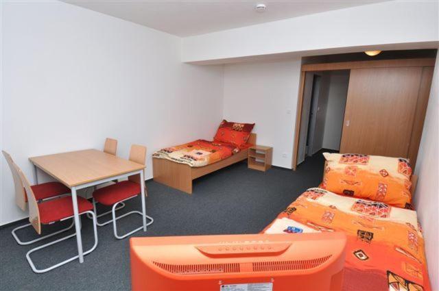 Sport Hotel Ticha Orlice Usti nad Orlici Room photo